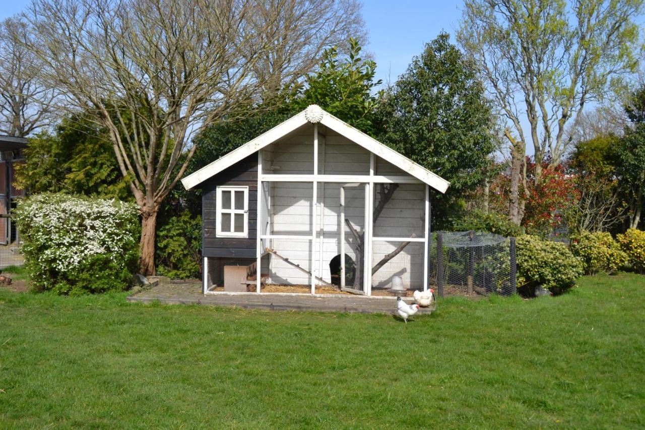 Landelijk Hijken Bed & Breakfast Exterior foto
